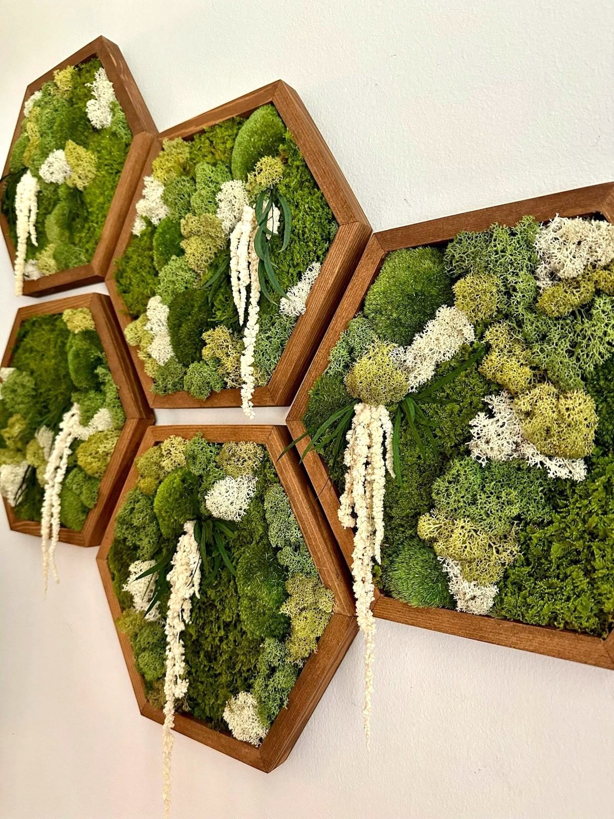 Moss Wall Art