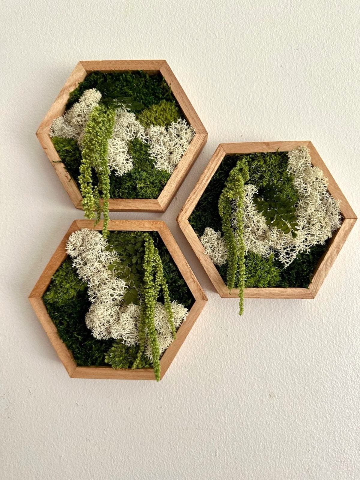 Moss Wall Art